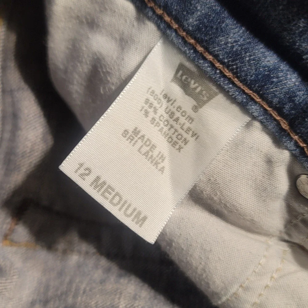 Levis levi 529
